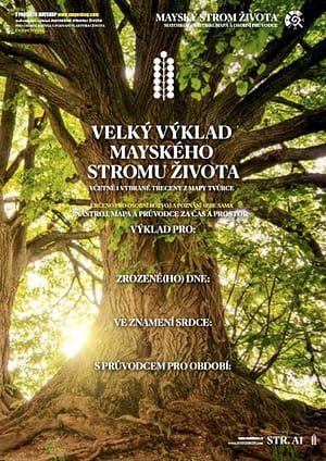 Výklad stromu života NEW